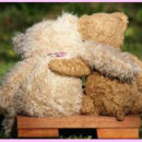 Lief en leed