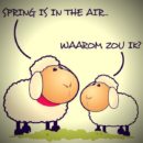 Spring is in the air!